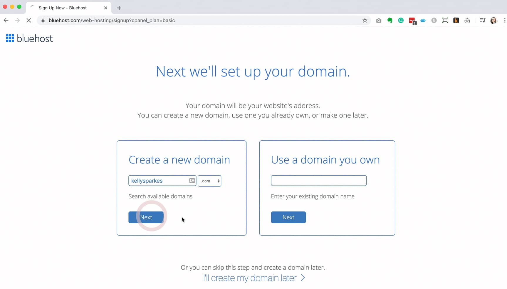 Bluehost choose domain
