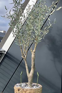 Faux olive tree