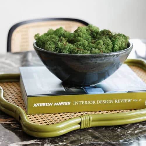 Wild Wood London moss bowl on interior design review book