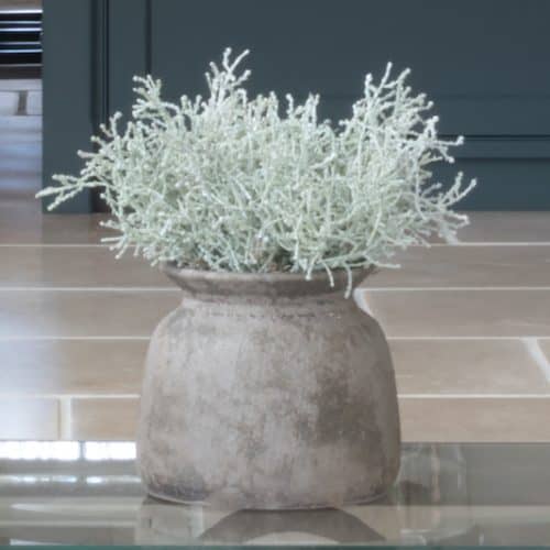 Silverbush in rustic vase