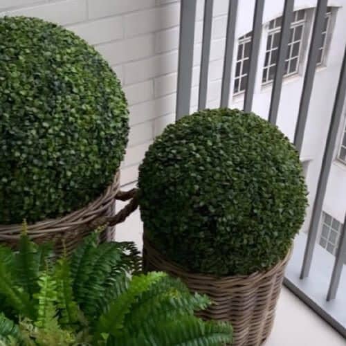 Wild Wood London faux topiary balls on balcony